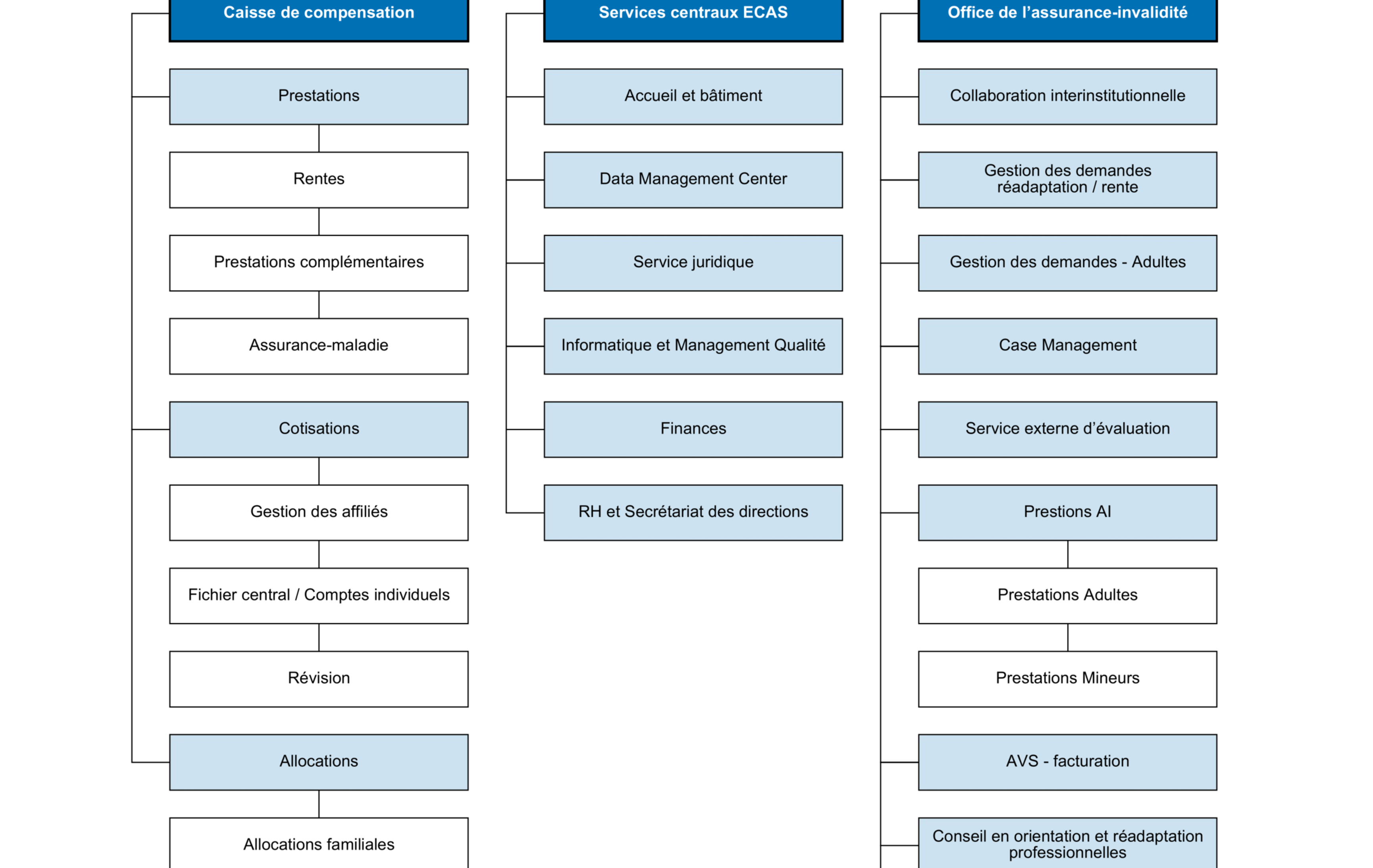 Organigramme